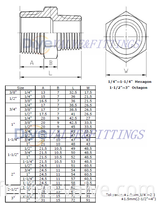 Stainless Steel Reducing Hex Nipple_